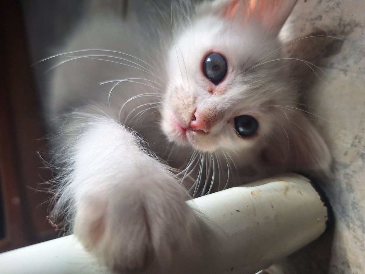 bu_bs_l's tweet image. Meu mundinho 🤍🤍🌿