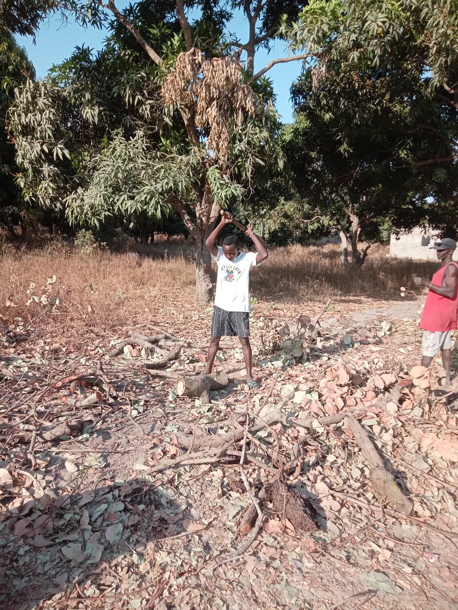 Malang (@malang004373821) on Twitter photo 