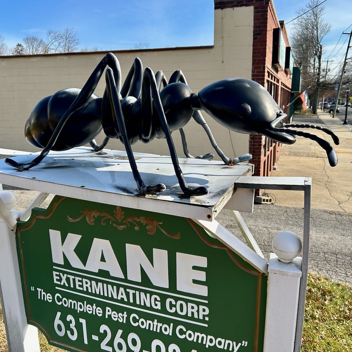 MalcolmFarley's tweet image. Giant ant.  Stuff of nightmares even on a sunny day.  Kane Exterminating Corp has just triggered my brain infestation.  LOL.

#insects #exterminators #nightmares #MONSTERS