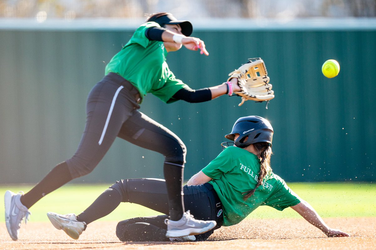 NCAA Softball tweet media