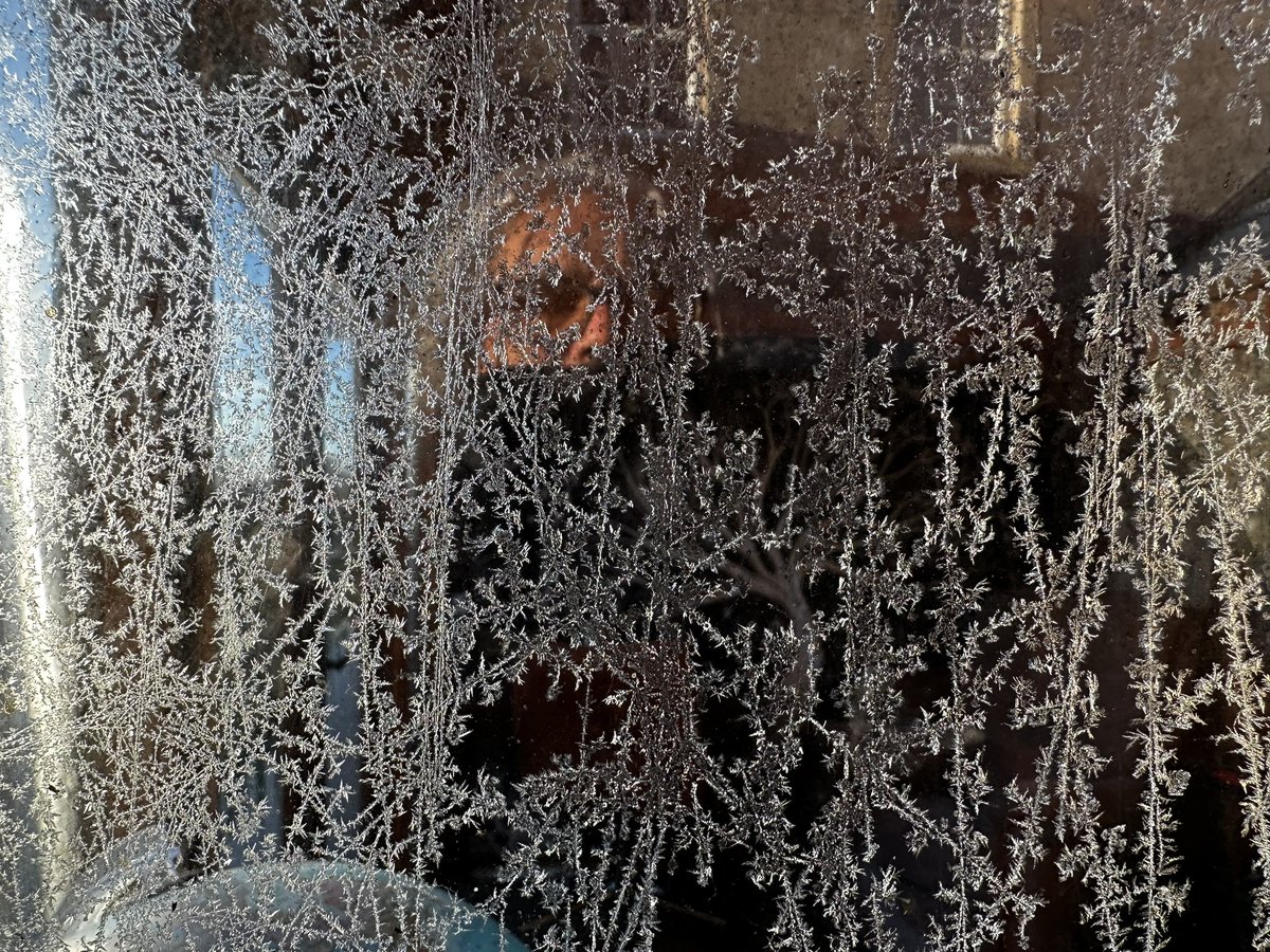 Too cold to write in the shed today! #writerscommunity