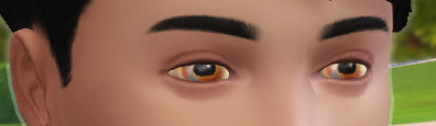 SixamCC's tweet photo. I am gonna play The Sims just for a bit.
24 hours later: https://t.co/73aeeKbn3K