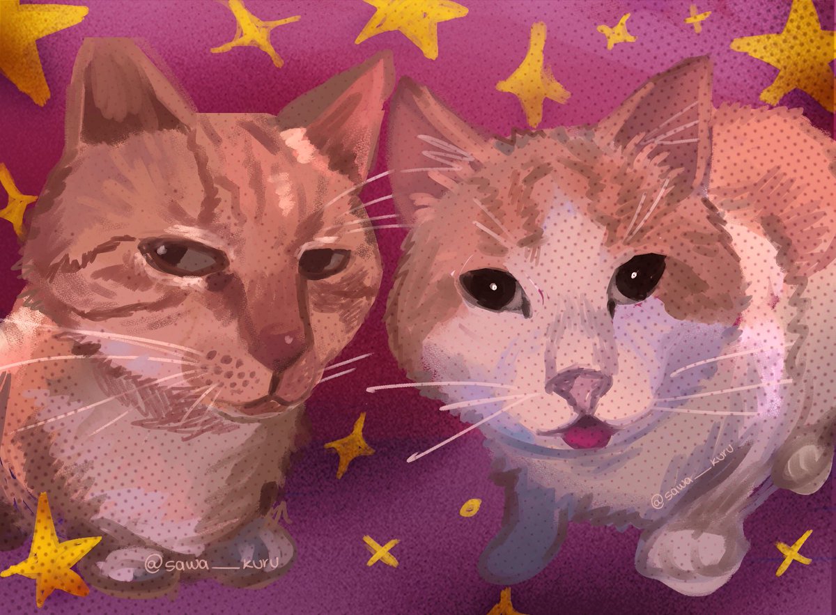 we're silly together!! 
#sillycats #cats #mrfresh #drawing #digitalart