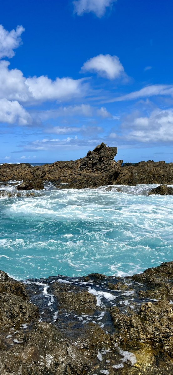 TheTriniSurfer's tweet photo. Tobago 🇹🇹 beauty https://t.co/Gk3xClGt4B