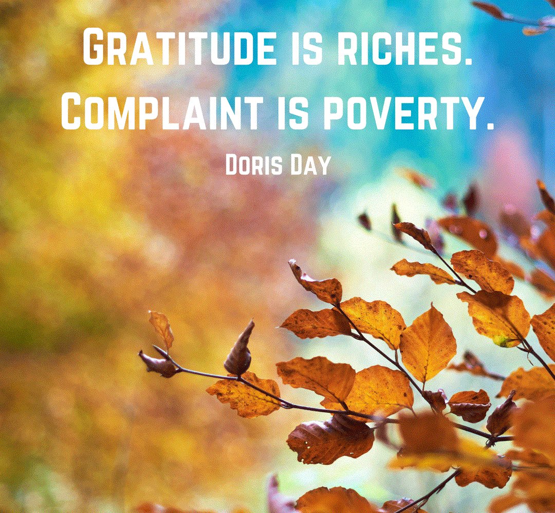 Gratitude is riches. Complaint is poverty. #ThursdayMotivation #ThursdayThoughts #Gratitude #Complaint