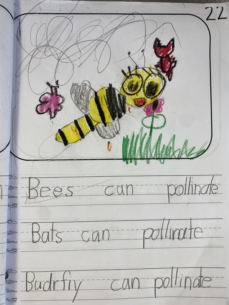 Mrs. Pallone tweet media