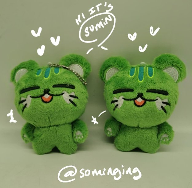 ✨PREORDER OPEN FOR 10CM XIKERS SUMIN PLUSH!✨ ✨Preorder price