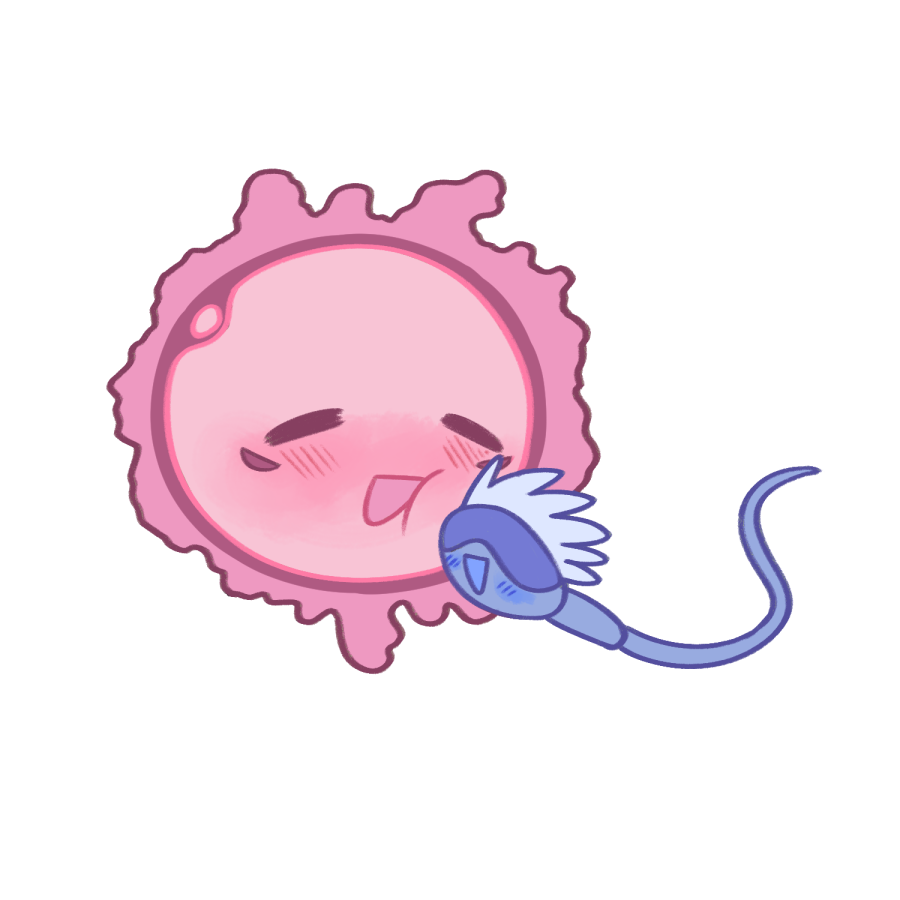 infinityfuna's tweet photo. goyuu biology https://t.co/R8CLlEmuDe
