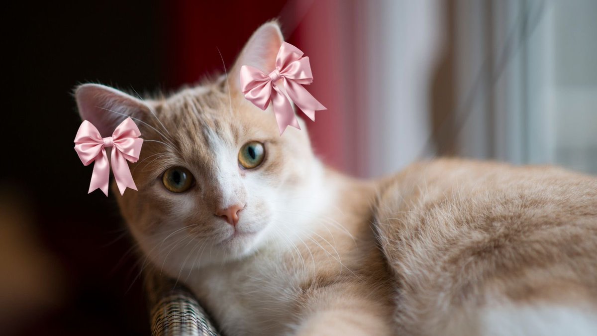 Ualá Argentina tweet media