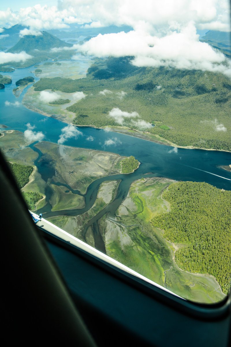 Mark your calendars! Direct flights between downtown Vancouver and Tofino return March 15, 2024. Stay tuned for ways to save on one our most popular routes! Sign up for our newsletter to get details sent straight to your inbox: bit.ly/3U1cN84