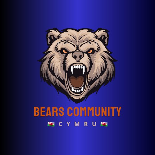 Bears Community Cymru 🏴󠁧󠁢󠁷󠁬󠁳󠁿🏈🐻⬇️ tweet media