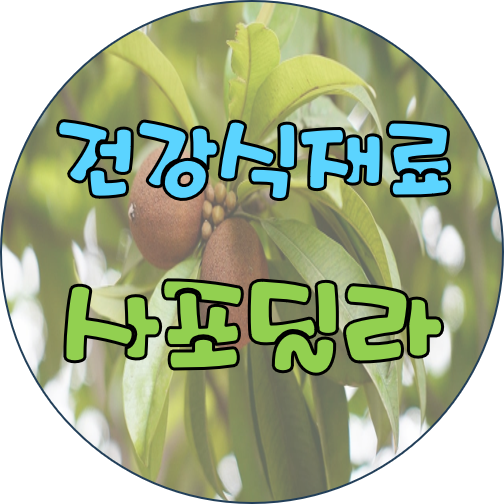 hhjin30's tweet photo. [건강 식재료] 사포딜라 

1. 고르는 법
과실을 바로 먹기 위하여 고를 때는 달콤한 향이 나고,  손가��으로 눌러 보아 약간 들어가는 물렁물렁한 것
★더 자세한 내용은 출처 링크를 참조하세요!★

​[출처] 건강을 지키는 생활백서
https://t.co/EtrnL6VHxC
#건강 #건강식재료 #사포딜라 #스무디 https://t.co/oGjxhLRtRj