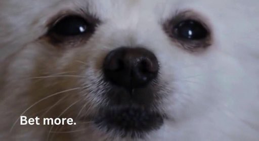 _JRoop's tweet image. You know what you have to do…