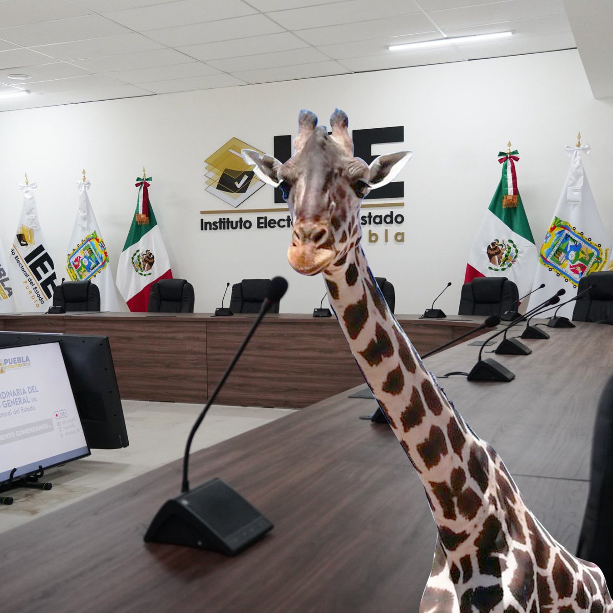 emendozaiee's tweet photo. 🗳️ 🙋🏻‍♀️El @Puebla_IEE te recuerda que, si cambiaste de domicilio 🏡, perdiste  #TuINE o ya se venció; tienes hasta el 22 de enero para tramitarla o actualizarla

¡No olvides participar  en las #Elecciones2024MX ! @INEMexico https://t.co/ixRNasY679