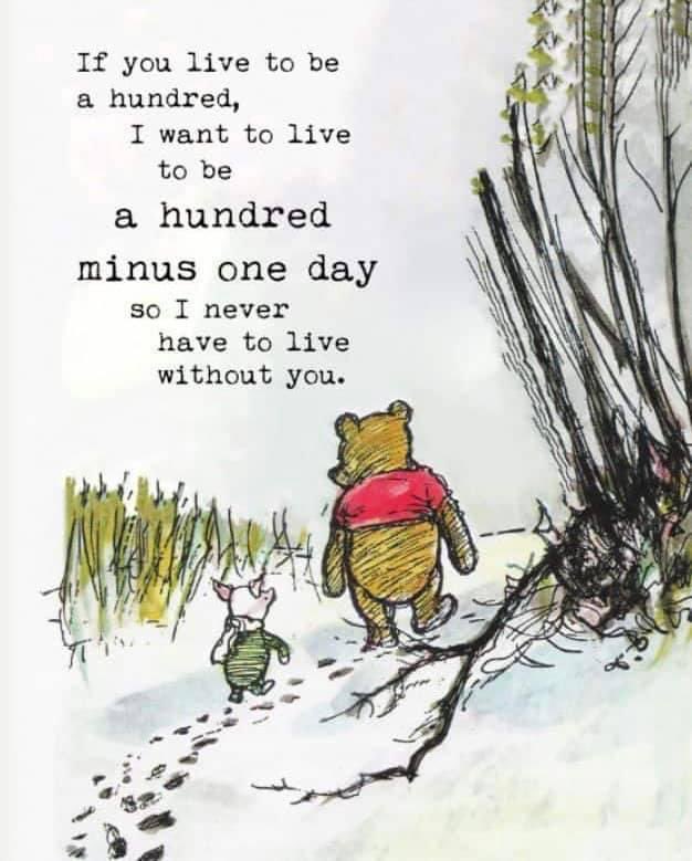 If you live to be a hundred, I want to live to be a hundred minus one day so I never have to live without you. A. A. Milne, “Winnie-the-Pooh” #WinnieThePoohDay #HappyBirthdayAAMilne