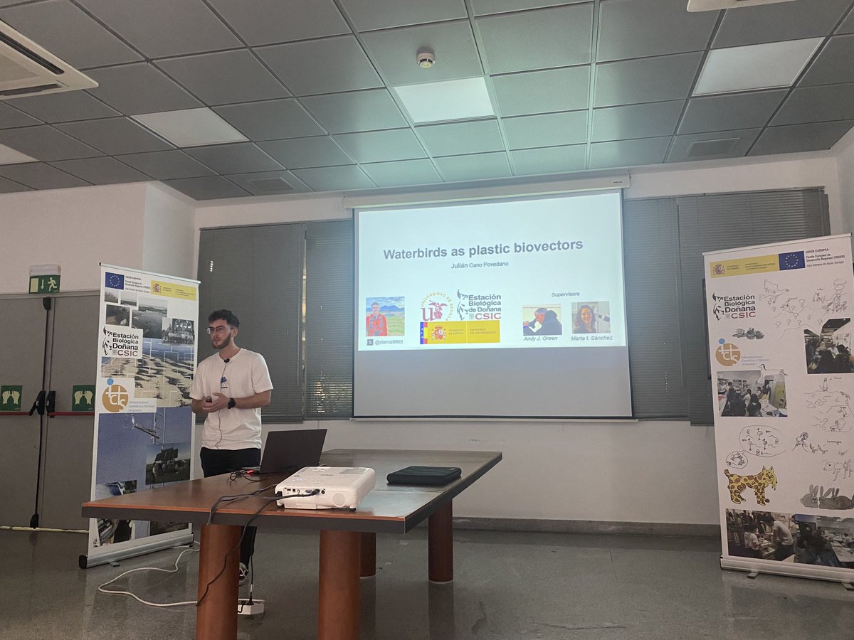 Marta I. Sanchez (@sanchezmarta_i) on Twitter photo Great seminar by julian Cano presenting his PhD plan on the role of birds as biovectors of #plastics at <a href="/ebdonana/">Estación Biológica de Doñana - CSIC</a> #EBDseminars <a href="/Sterna9965/">Julian Cano</a> <a href="/drAndyGreen/">Andy J. Green</a> <a href="/ebd_lea/">LEA-EBD</a> <a href="/PacoHortas/">Paco Hortas</a> <a href="/DONANA_SEO/">SEO Doñana</a> Great seminar by julian Cano presenting his PhD plan on the role of birds as biovectors of #plastics at <a href="/ebdonana/">Estación Biológica de Doñana - CSIC</a> #EBDseminars <a href="/Sterna9965/">Julian Cano</a> <a href="/drAndyGreen/">Andy J. Green</a> <a href="/ebd_lea/">LEA-EBD</a> <a href="/PacoHortas/">Paco Hortas</a> <a href="/DONANA_SEO/">SEO Doñana</a>