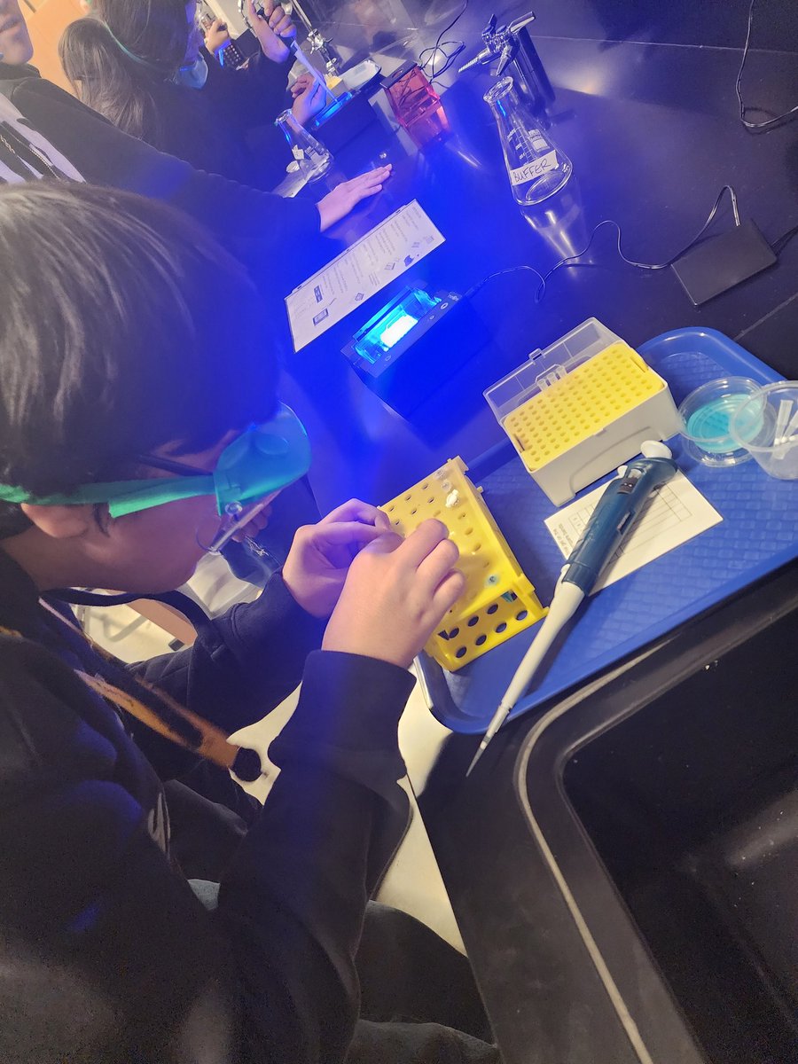 Kimberly Clemons tweet media