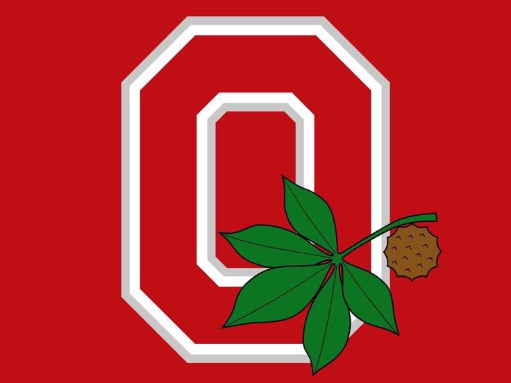 I am very proud to announce my commitment to play college hockey at The Ohio State University. I would like to thank my family, friends, teammates, coaches and everyone who has supported me. #gobuckeyes