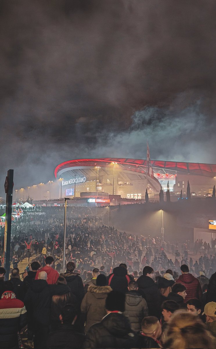 Tania Delgado tweet media