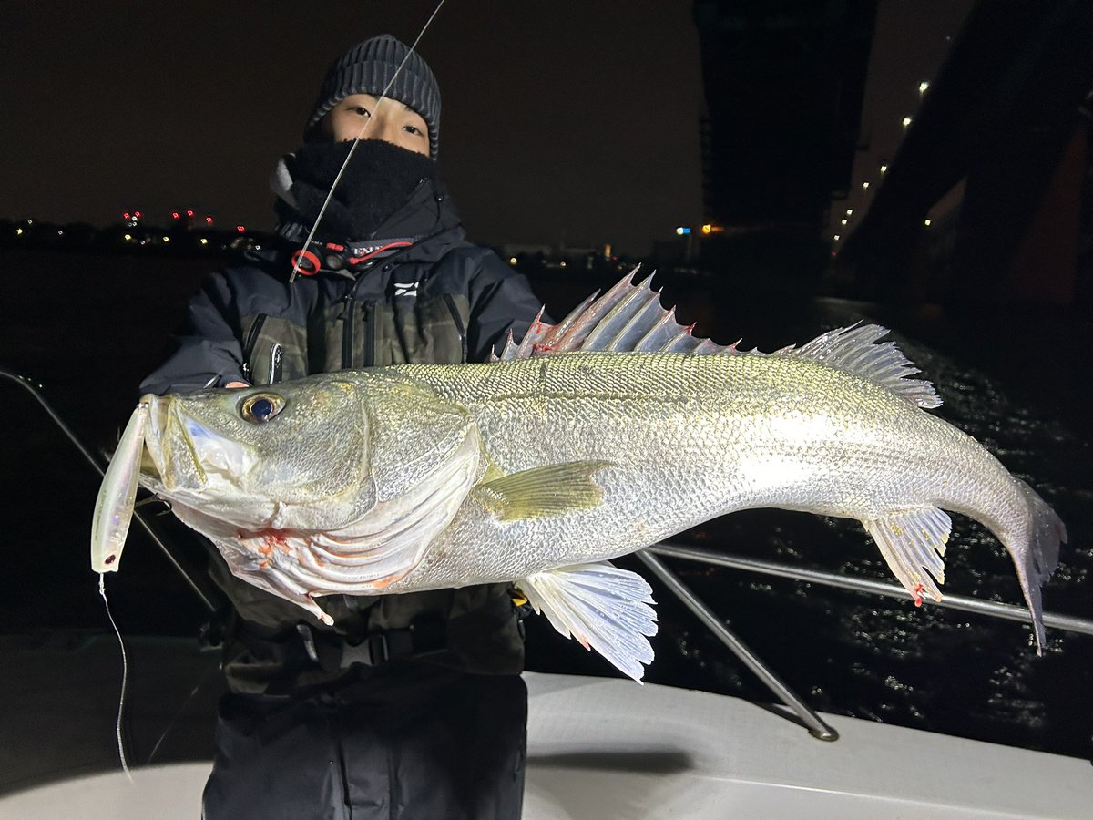 seabasshuman's tweet photo. 今年もよろしくお願いします！
年末のボートシーバスは、納得のいく釣果でした！ https://t.co/3lIqq3DF7u