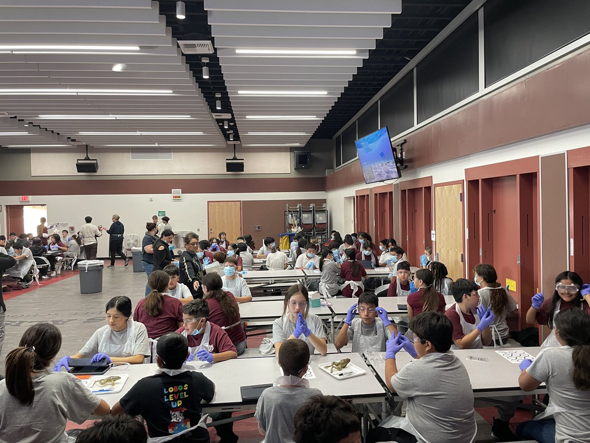 KKatayama-Johnson tweet media