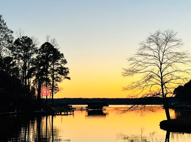 I ⬝wish ᱸmy ⬝friends and  family ᠍a ⳿new day, ⬝a ​new ​mood, ‍and  new  gains! 🌷