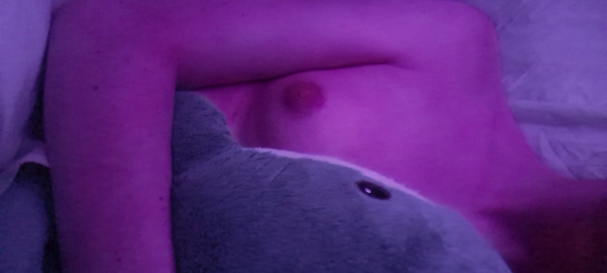TranGirlTweets's tweet photo. @ShenisRespecter We call that the Blåhaj cuddle session. https://t.co/IrjmKZv5Eh
