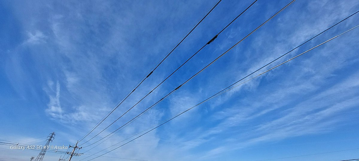 yumeasutw's tweet photo. #青空 にお日様燦々✨山々が霞む寒さが和らいだ金曜日の朝🌤️
放射状に広がる #巻雲 ༄༅༄༅༄༅
予想最高/最低気温🌡️14℃/2℃
晴れのち曇り☀️→☁️
お洗濯日和👕👖日溜まりは温もりを感じる冬晴れに。夜は雲が多くなりそうです。
#イマソラ #朝空
#空の名前
#天気の図鑑 #雲の超図鑑
#a2024 #a0119 #a202401 https://t.co/cWqQFL93wo