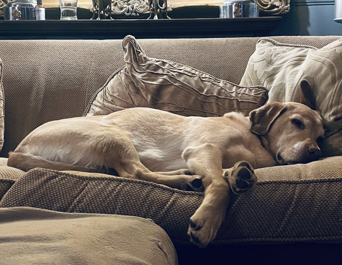 Alex Lovell tweet media