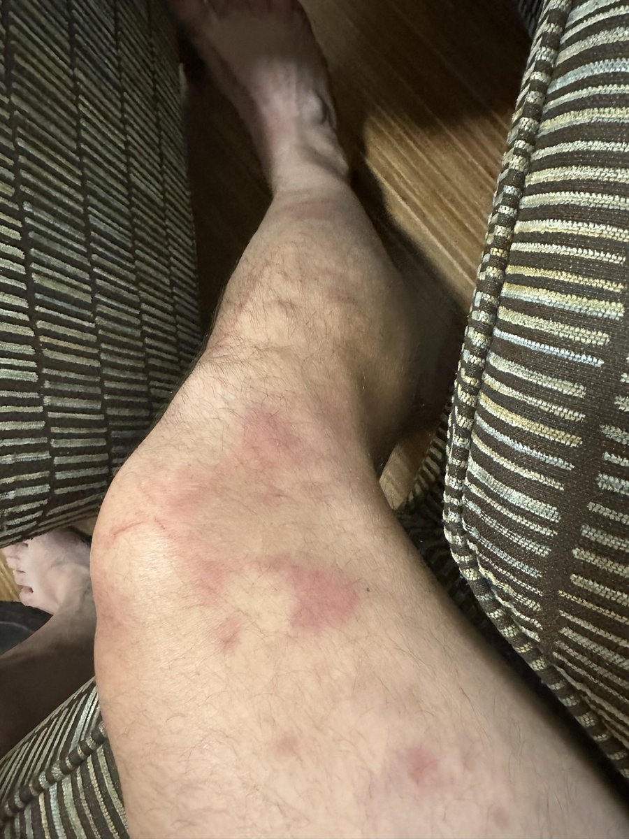 Jerry Ragonese tweet media