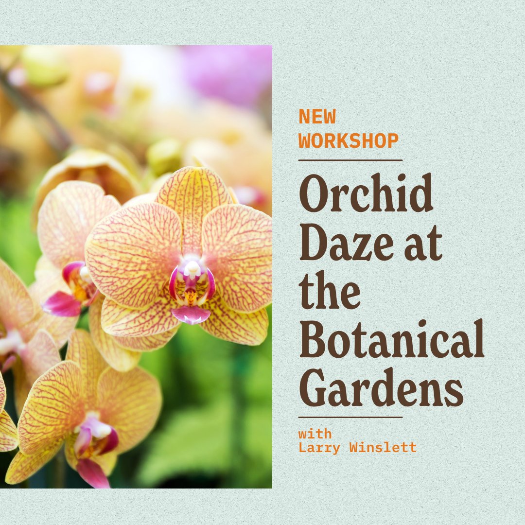 Join us for a captivating photography workshop amidst the stunning beauty of orchids at the Atlanta Botanical Garden. 

Register your spot today: atlschoolofphoto.com/orchid-daze-at…

#naturephotography #atlantabotanicalgardens #orchids #macrophotography