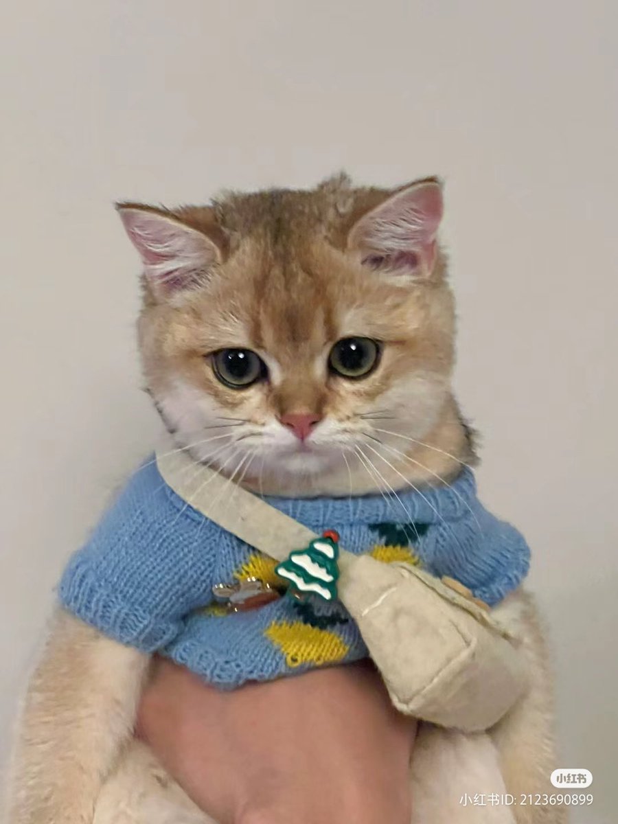 ❄️

#新田真剣佑 ＃Mackenyu