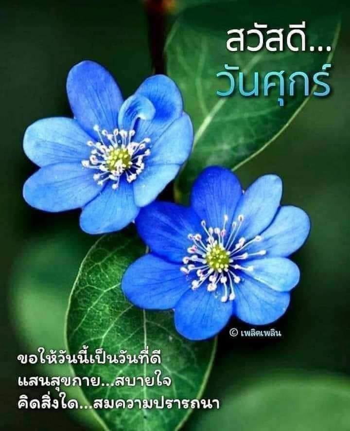 donjumpa's tweet photo. @bpiomm1 สวัสดีครับ https://t.co/e8Z44Cf8YI