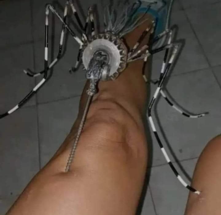 El mosquito más chico: