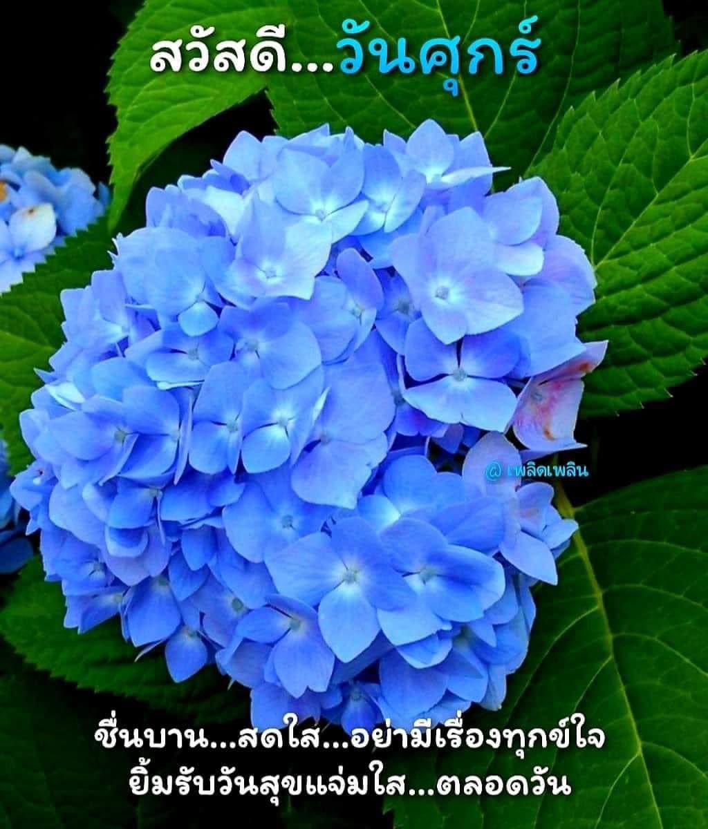 donjumpa's tweet photo. @kppchp สวัสดีครับ https://t.co/sQxBaVzrrN