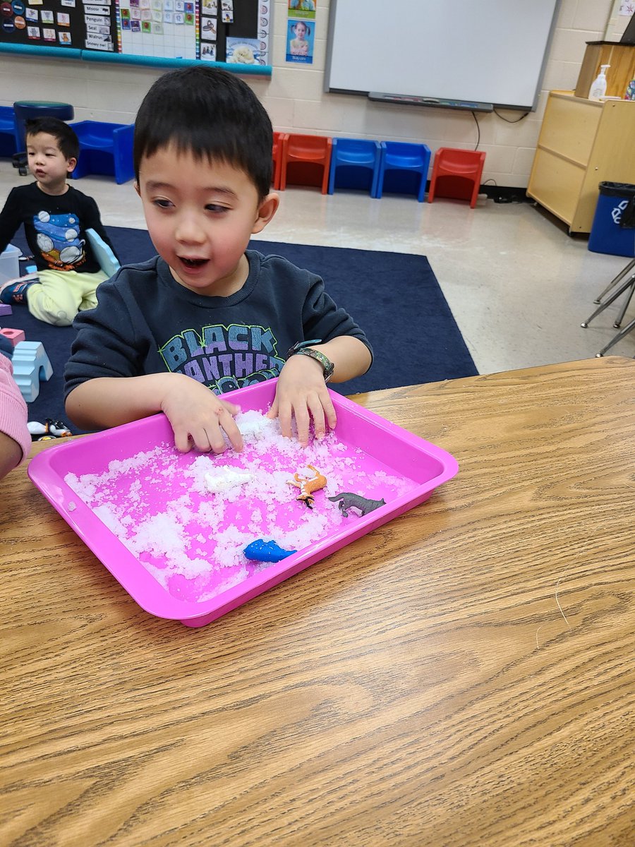 PMPantherCubs's tweet photo. We are learning about arctic animals in PM Preschool. We played with them in the snow, and we played with them on icebergs!
@PoplarTreeES https://t.co/6HSCqKhvUl