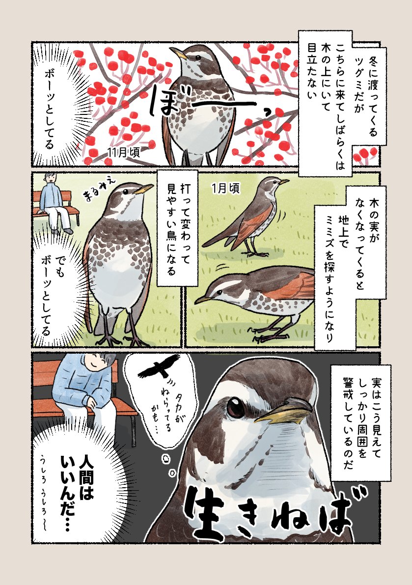 [鳥]リクエストページ 意外と知らない鳥の生活 「ボーッとして見えて…」 シベリアから