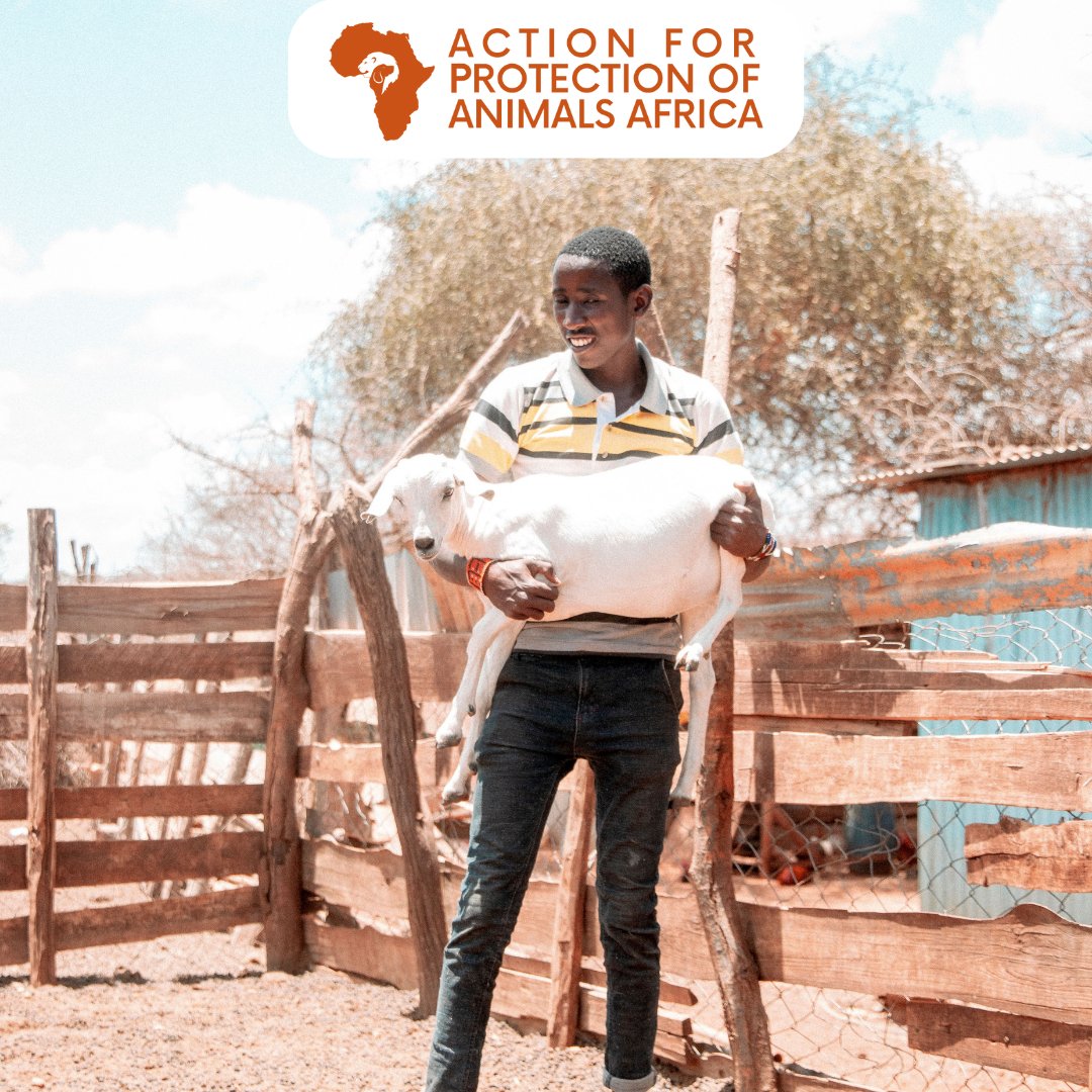 Caption contest time! 🐶 

Reply with the best caption for this adorable duo. 

#FunFriday #CaptionThis