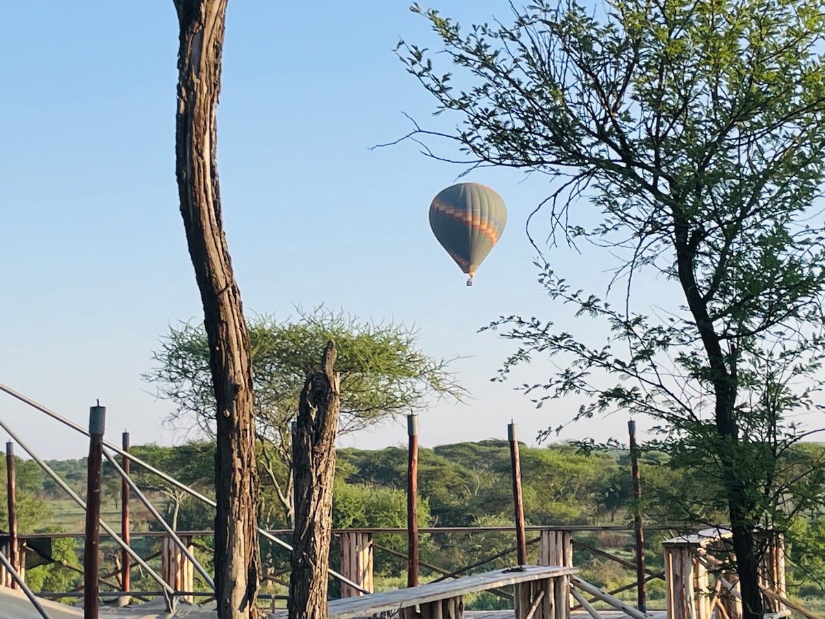 📍Serengeti NP, Tanzania.
___________
29 Sep 2023
