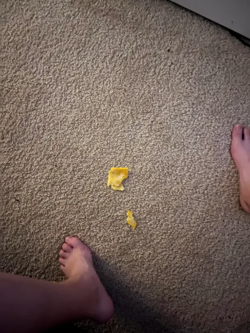 TexasTylerJones's tweet photo. So, I found cheese on the floor today. I kinda stepped on it, however, it still looked good to eat, so I decided to eat it! Can't be wasting food nowadays, inflation am I right?

#cheese #inflation #gross #ew #funny https://t.co/H4sVxo5yX0