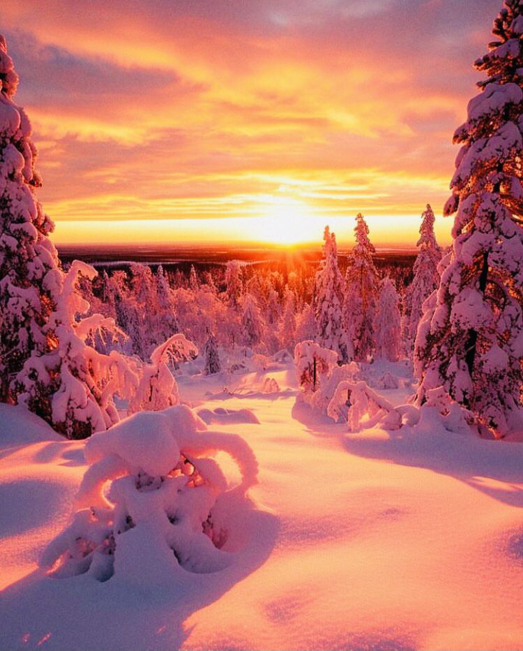 Beautiful sunrise….Lovely morning ☀️
#wintersunrise #sweden #hellonorrland