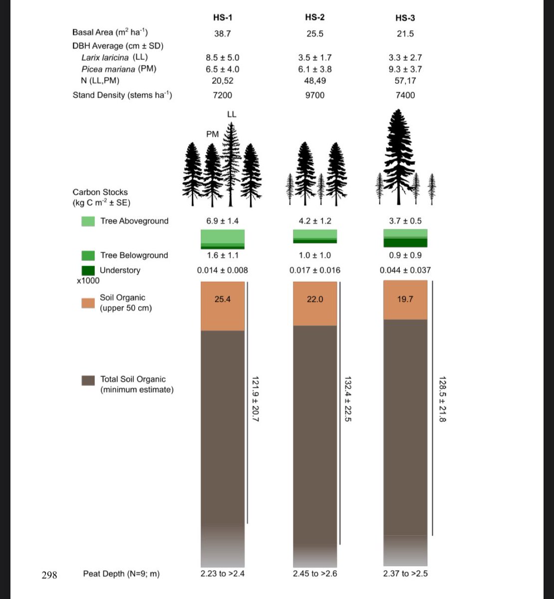 Dr Scott J. Davidson (@scootjd) on Twitter photo Some #swamp science for a Friday morning! Check out our new preprint looking at carbon stocks and fluxes from a boreal conifer swamp essopenarchive.org/users/539430/aโฆ
Was fun to write this with @mar_davies <a href="/wetland_GHG/">Dr Maria Strack</a> <a href="/emma_wegener/">Emma Wegener</a> <a href="/smilingmegs/">Meg Schmidt ๐ณ๏ธโ๐ (they/she)</a> <a href="/MikePeacock86/">Mike Peacock</a> Sara Claussen #PeatTwitter Some #swamp science for a Friday morning! Check out our new preprint looking at carbon stocks and fluxes from a boreal conifer swamp essopenarchive.org/users/539430/aโฆ
Was fun to write this with @mar_davies <a href="/wetland_GHG/">Dr Maria Strack</a> <a href="/emma_wegener/">Emma Wegener</a> <a href="/smilingmegs/">Meg Schmidt ๐ณ๏ธโ๐ (they/she)</a> <a href="/MikePeacock86/">Mike Peacock</a> Sara Claussen #PeatTwitter
