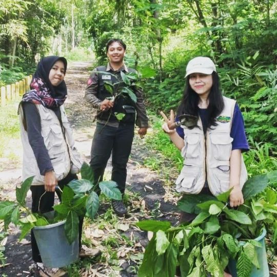 ProFauna's tweet image. Lagi mencari bibit pohon yang tumbuh di hutan P-WEC.

Bibit pohon ini kemudian akan ditaruh dalam kantong polybag dan dirawat. Nantinya jika sudah lebih kuat akarnya, bibit pohon ini akan ditanam di hutan yang rusak.