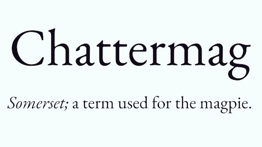 arealmofwonder's tweet image. Words for the Weekend 🥳
#Winterwatch #Nature

Pick your winner ⭐️

A B
C D

(Follow for more)