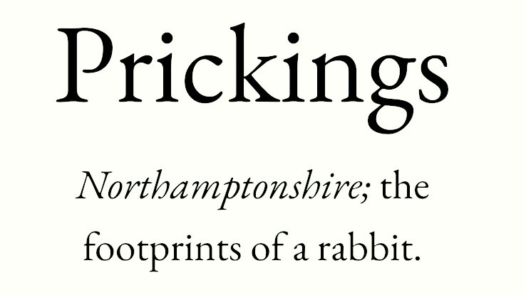 arealmofwonder's tweet image. Words for the Weekend 🥳
#Winterwatch #Nature

Pick your winner ⭐️

A B
C D

(Follow for more)