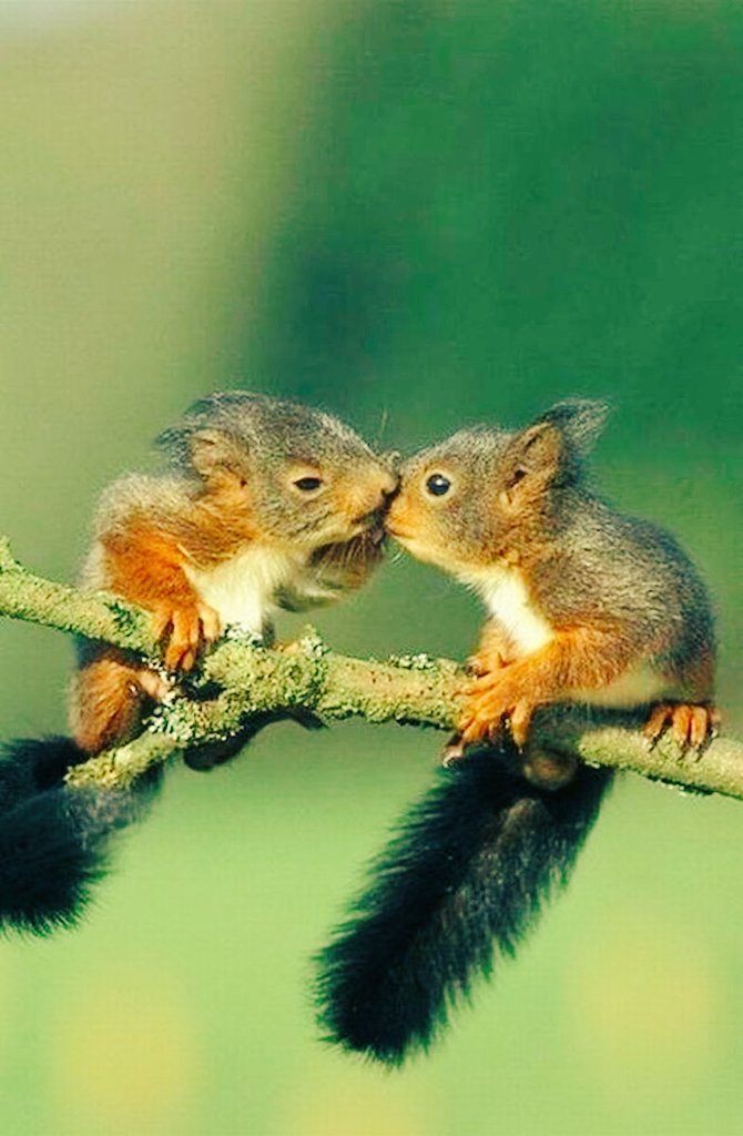 Love is like clouds that are in constant motion, 

so love here and now...