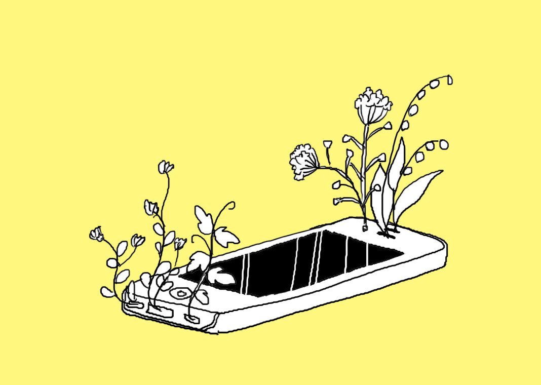 no humans flower yellow background simple background plant leaf handheld game console  illustration images