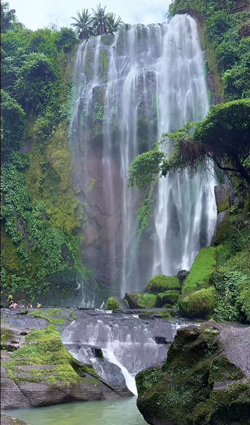 MiyaSanchez3's tweet photo. NATUTE🌴 https://t.co/ANf40g4imB