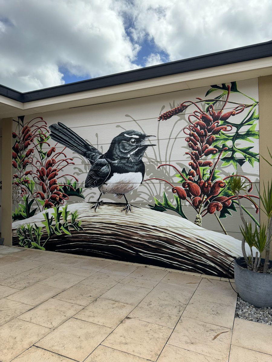 A Willie wagtail amongst Grevillea bipinnatifida (fuchsia grevillea) for a lovely couple in Warnbro.

#birdart #birdartist #flora #perthart #perthartist #perth #streetart #mural #murals #muralartist