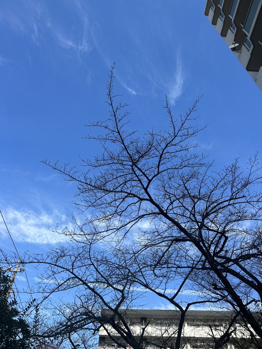 なつ@広報担当になりました tweet media